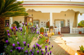 B&B Pietrafitta Carovigno